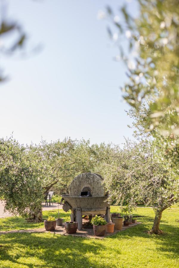 Seget  Hotel Maslina מראה חיצוני תמונה
