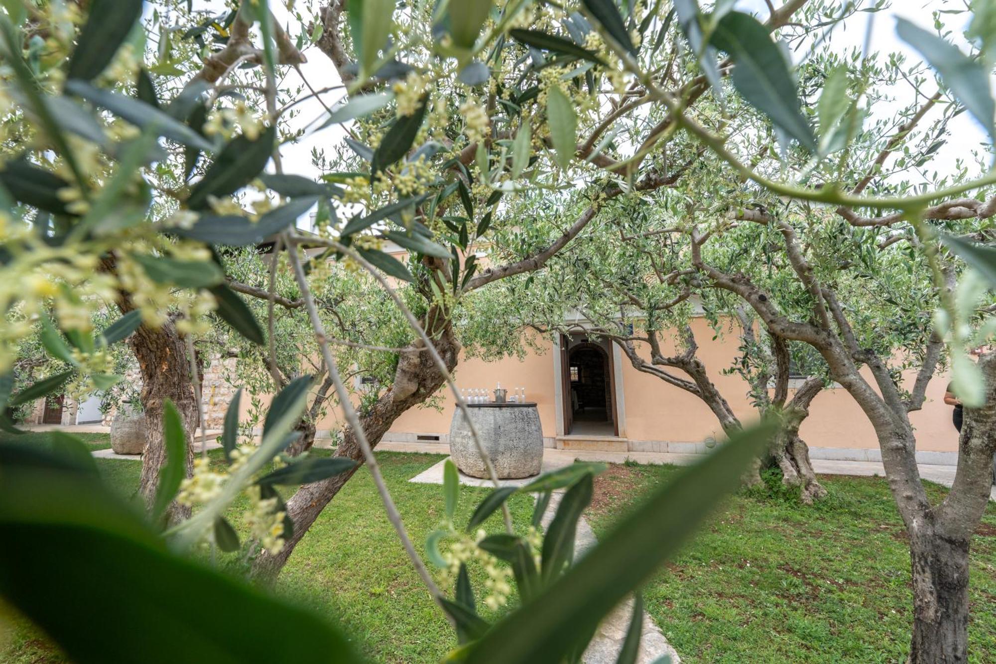 Seget  Hotel Maslina מראה חיצוני תמונה